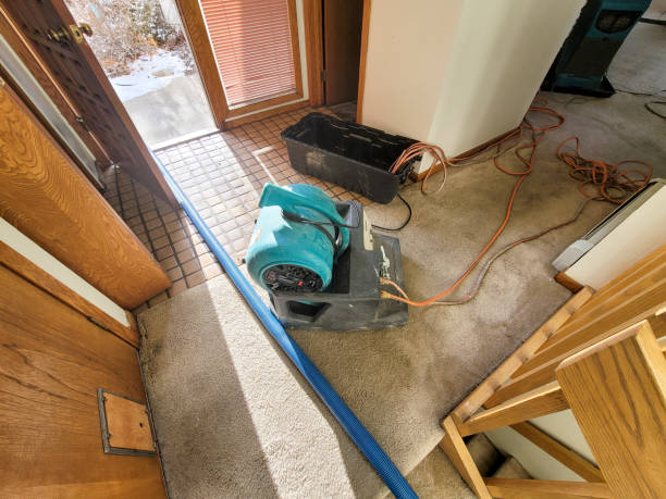 Best Carpet water damage restoration  in Sinking Spring, PA