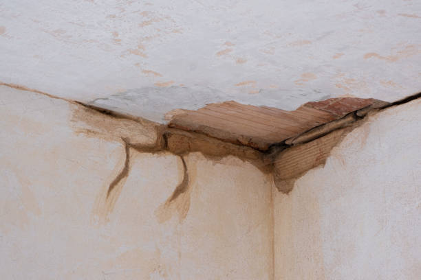 Best Water damage restoration near me  in Sinking Spring, PA