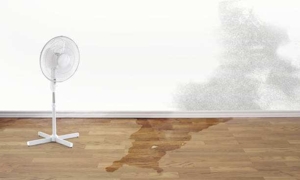 Best Flood restoration services  in Sinking Spring, PA