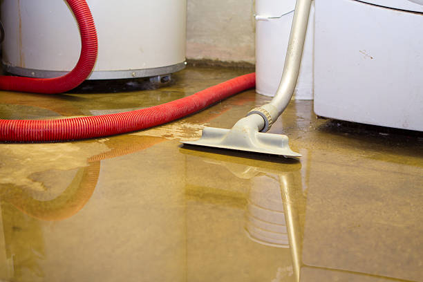 Best Flooded house restoration  in Sinking Spring, PA