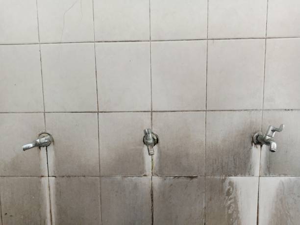Best Water damage restoration near me  in Sinking Spring, PA