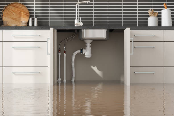 Best Mold removal after water damage  in Sinking Spring, PA