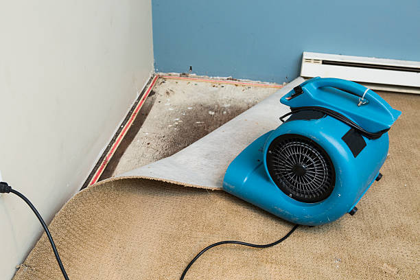 Best Fire Damage Restoration  in Sinking Spring, PA